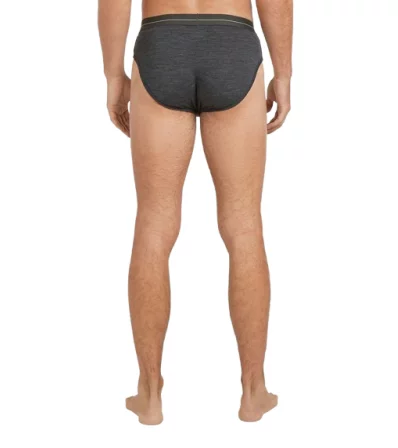 Слипове Icebreaker Merino 150 Anatomica Briefs M's