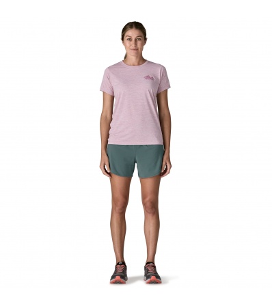 Patagonia Trailfarer Shorts 4½