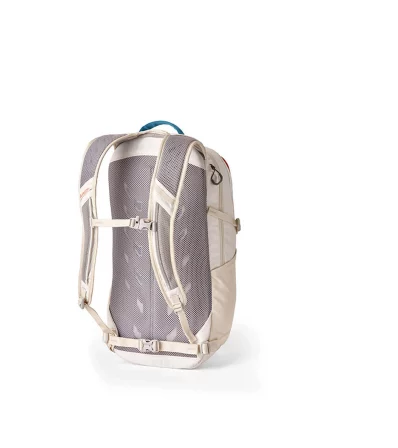 Gregory Nano 20L