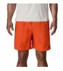 Patagonia Baggies Longs Shorts 7