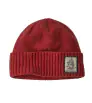 Patagonia Brodeo Beanie